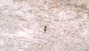 Fact check: Did US national John Allen Chau flout law by visiting North Sentinel Island?