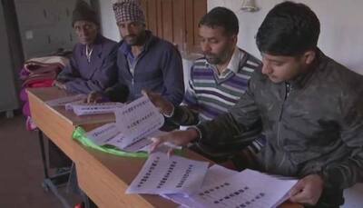 Panchayat polls: Kashmir region records 34%, Jammu 59% till noon