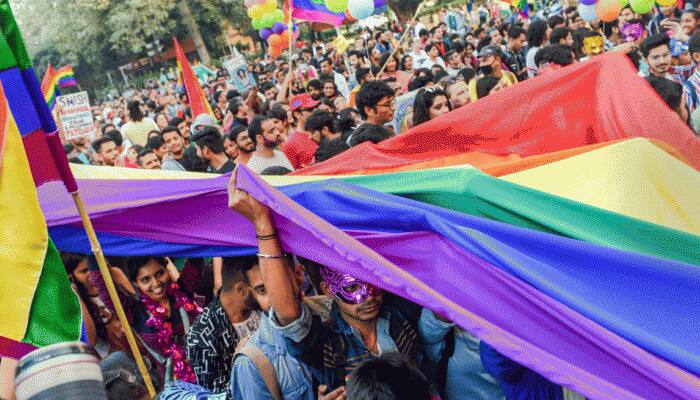 A parade to pride: Delhi LGBT+ community walks to claim their place in society