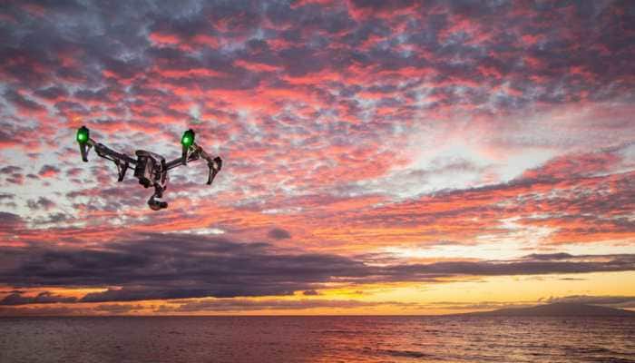 Drones can help find, count marine megafauna: Study