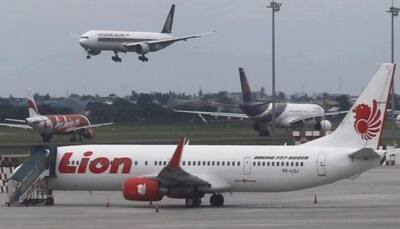 Lion Air crash: Pilots struggled to control plane, says Indonesian probe panel