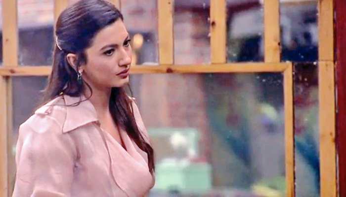 Gauahar Khan lashes out at Shilpa Shinde for mocking Karanvir Bohra's wife Teejay Sidhu