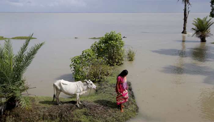 Villagers' survival at stake in India's disappearing island