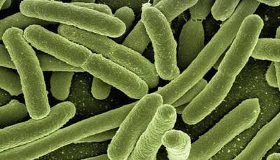 Over 6,000 antibiotic resistance genes in gut bacteria identified