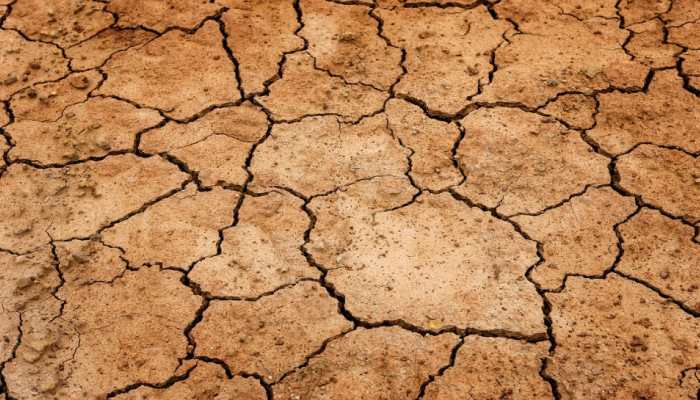 Centre's delegation to assess crop damage due to drought in Maharashtra