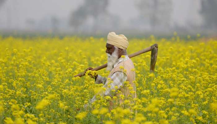 After state poll wins, Congress starts work on promised farm loan waivers