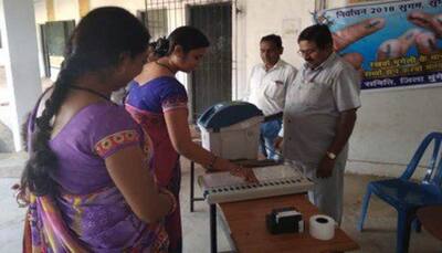 Voting underway for 5 municipal corporations and committees in Haryana