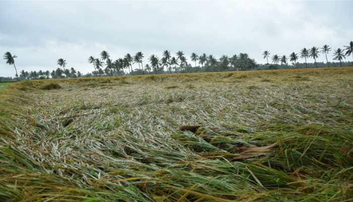 Cyclone Phethai wreaks havoc in Andhra, crops across 14,000 hectares damaged