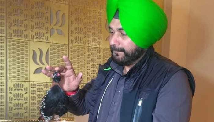 Animal welfare board seeks report on Sidhu’s black partridge gift from Pakistan