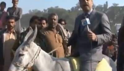 Video of Pakistani journalist reporting while riding a donkey goes viral
