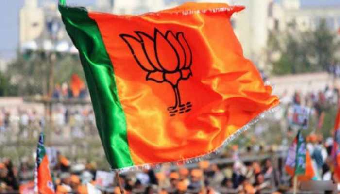 BJP sweeps mayoral elections in Haryana