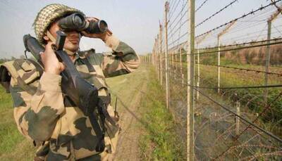 Of 2,061 border fencing light poles, only 616 functional along Gujarat-Pakistan border