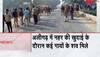 cows buried alive in aligarh