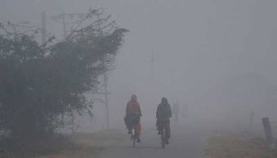 7 killed, 4 injured in accident due to heavy fog in Haryana
