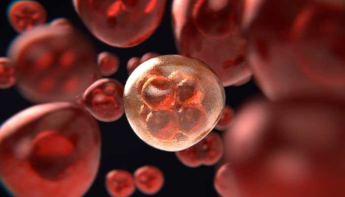 Machinery driving deadly childhood brain cancer unveiled