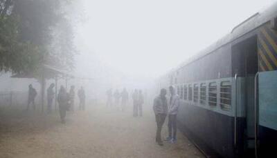 Delhi wakes up to fog, 12 trains running late due to low visibility