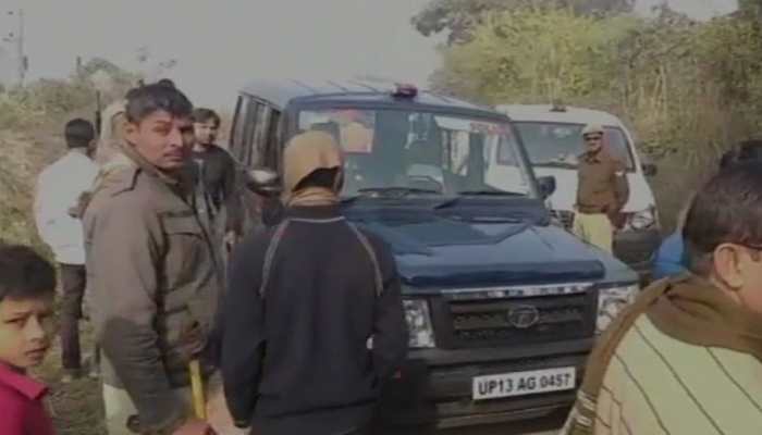 Skeletons of 6 cows found in Uttar Pradesh's Aligarh, investigation underway