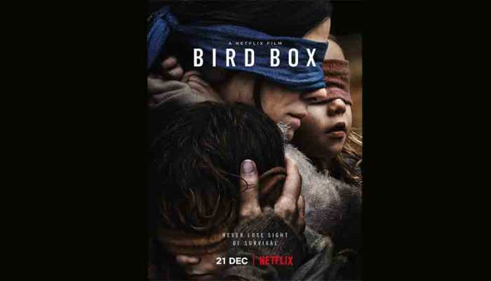 Netflix warns against Bird Box challenge, says don&#039;t try this at home