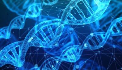 Could DNA screening test become norm to detect genetic diseases?