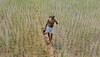 Agri, manufacturing to push GDP grow to 7.2% in 2018-19: CSO