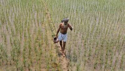 Agri, manufacturing to push GDP grow to 7.2% in 2018-19: CSO