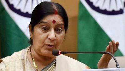 India's strength and success has been a force for global peace, stability: Sushma Swaraj