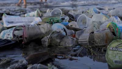 Puducherry government to ban single-use plastic products from March 1, says CM Narayanasamy