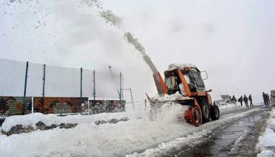 Snow halts flights at Srinagar airport