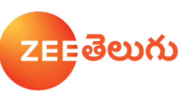 Best of Tollywood walk the red carpet at Zee Cine Awards Telugu 2018