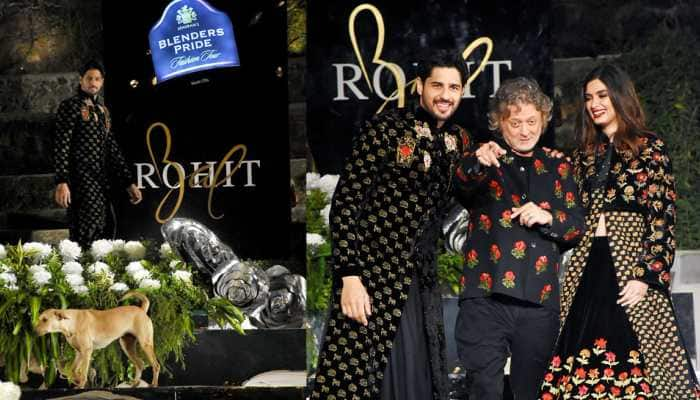 Animal Lover Sidharth Malhotra And Diana Penty share runway with stray dog