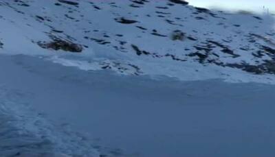 Ladakh avalanche: At least 5 bodies recovered, rescue ops continue
