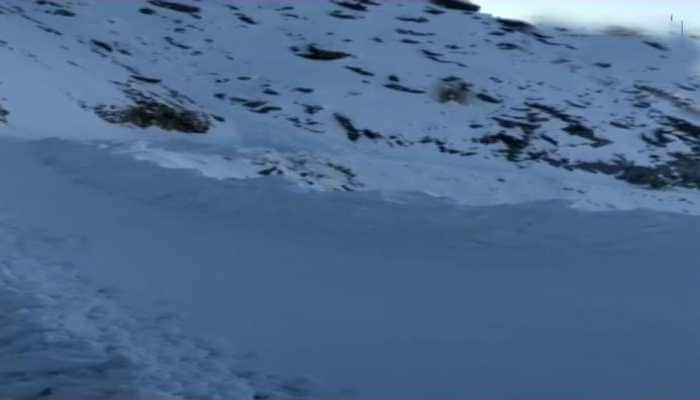 Ladakh avalanche: Two more bodies recovered, death toll reaches 7