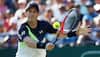 Boris Becker urges Andy Murray to consider surgery in order to prolong career