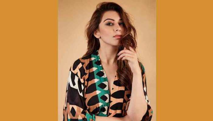 Hansika Motwani's bikini pictures leaked online by hackers