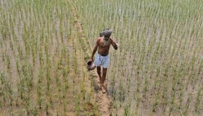 Govt may announce package to farmers soon: Minister