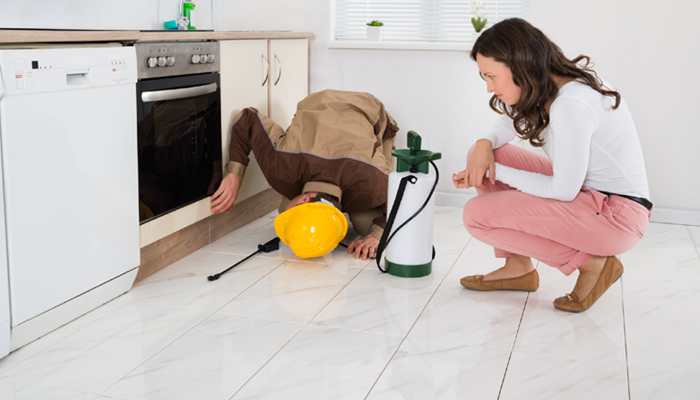 'Bug bombs' not effective in killing cockroaches indoors