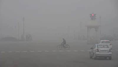 Cold wave conditions continue in Delhi, rain in forecast for Wednesday