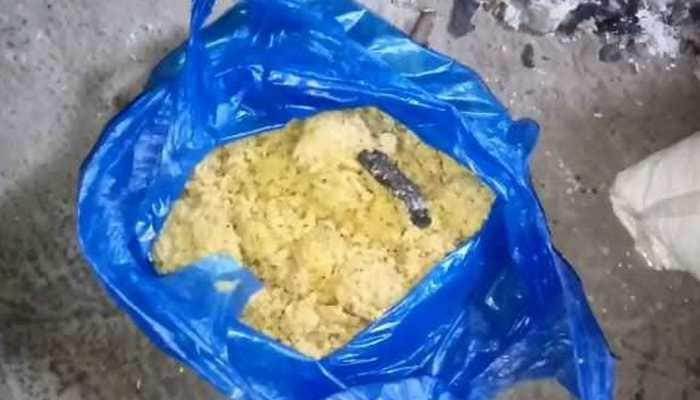 Snake found in mid-day meal served in government primary school in Maharashtra, probe ordered 