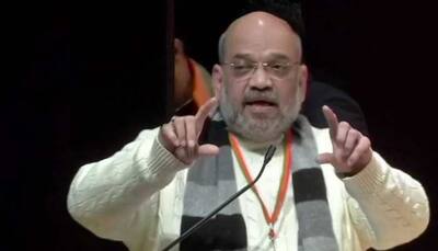 Modi govt strengthened democracy in Kashmir, which was mainly ruled by two families: Amit Shah