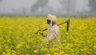 Interim Budget 2019: Big bonanza announced for farmers 