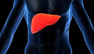 Soon treatment for obesity, fatty liver disease