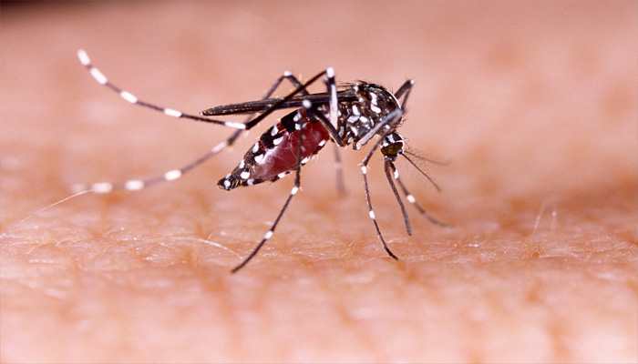 First dengue case recorded in Delhi in January