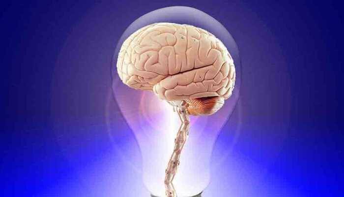 Men's brains diminish faster than women's: Study