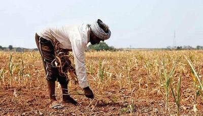 Government to conduct survey to assess plight of farmers this year