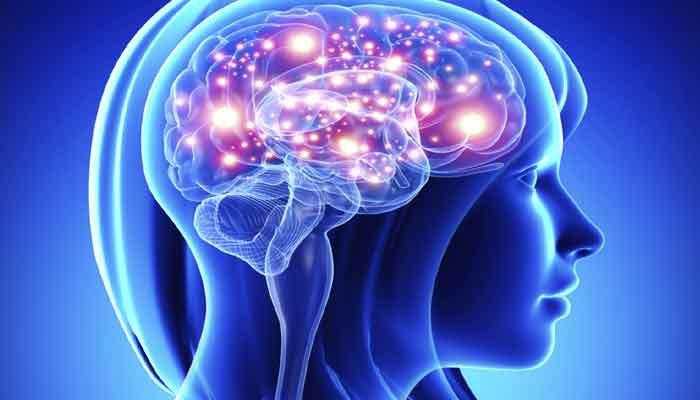 Men's brains diminish faster than women's: Study