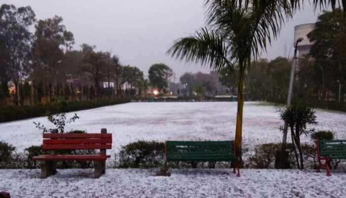 Watch: Delhi-NCR turns &#039;white&#039; after hail storm, heavy rains