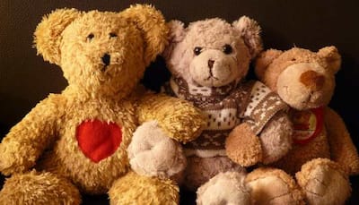 teddy bear day 2019