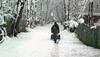 Slight relief from cold wave in Himachal Pradesh