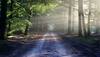 India and China lead the way in increasing Earth's green cover: NASA report