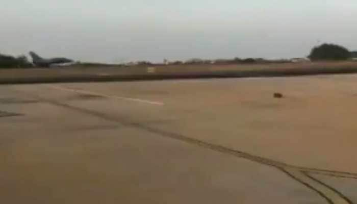 Two Rafale fighter jets from France touch down in India